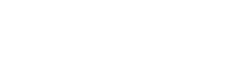 Customaid logo white
